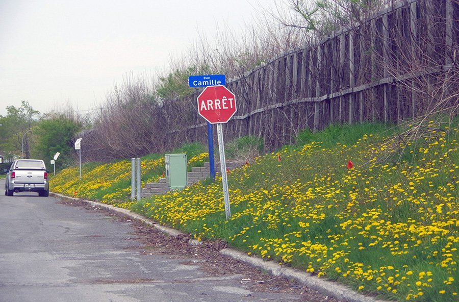 Quebec, Laval to share cost of anti-noise barrier along A-15