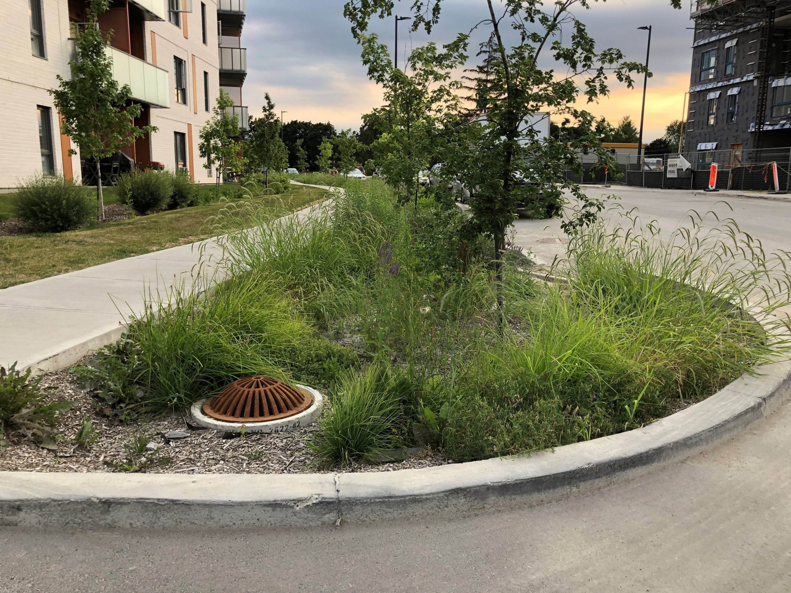 The Laval News | More 'green' sidewalk protrusions to be installed in Chomedey - Vimarsana News
